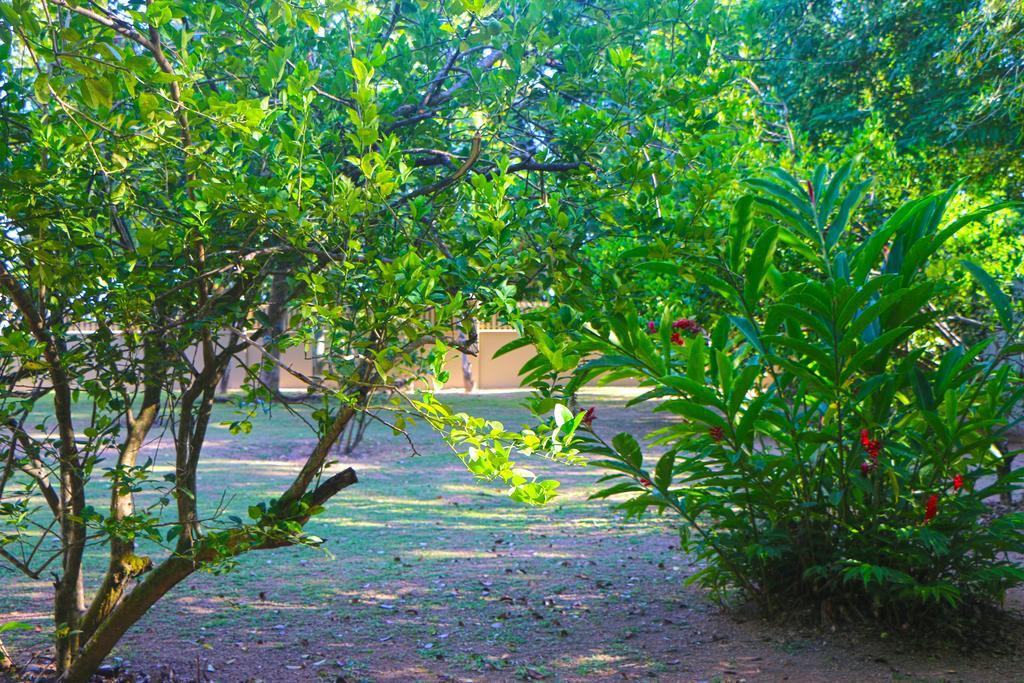 Villa Saint Sauveur Baie Sainte Anne Екстериор снимка